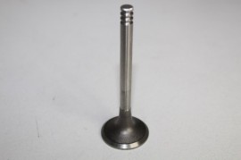 VOLKSWAGEN GOLF 5 2006 1.9TDI 2006 EXHAUST VALVES