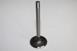 VOLKSWAGEN GOLF 5 2006 1.9TDI 2006 INLET VALVES