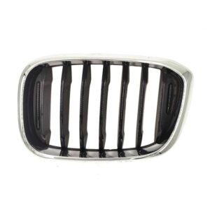 Kidney Grille Left - Used OEM - G01/G02