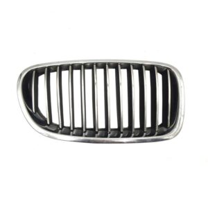 Kidney Grille Right - Used OEM - F10